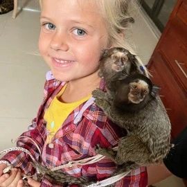 finger monkey pet for sale near me