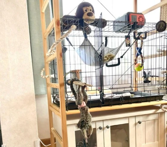 Breeding Facility