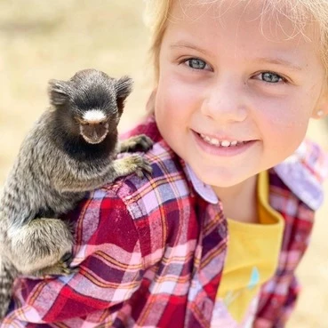 finger monkey breeder near me