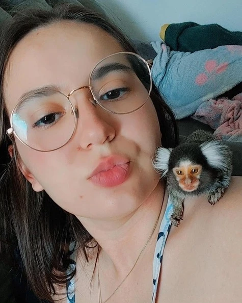 how big is a finger monkey